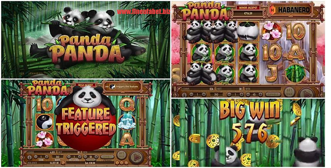 Panda Pedas